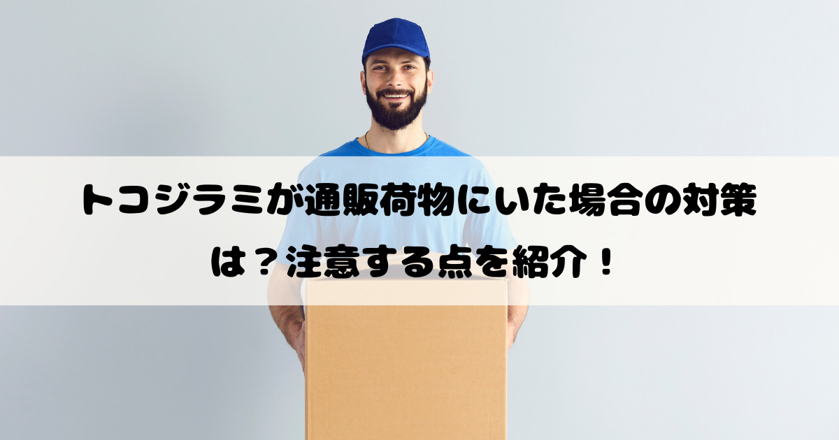 トコジラミが通販荷物にいた場合の対策は？注意する点を紹介！