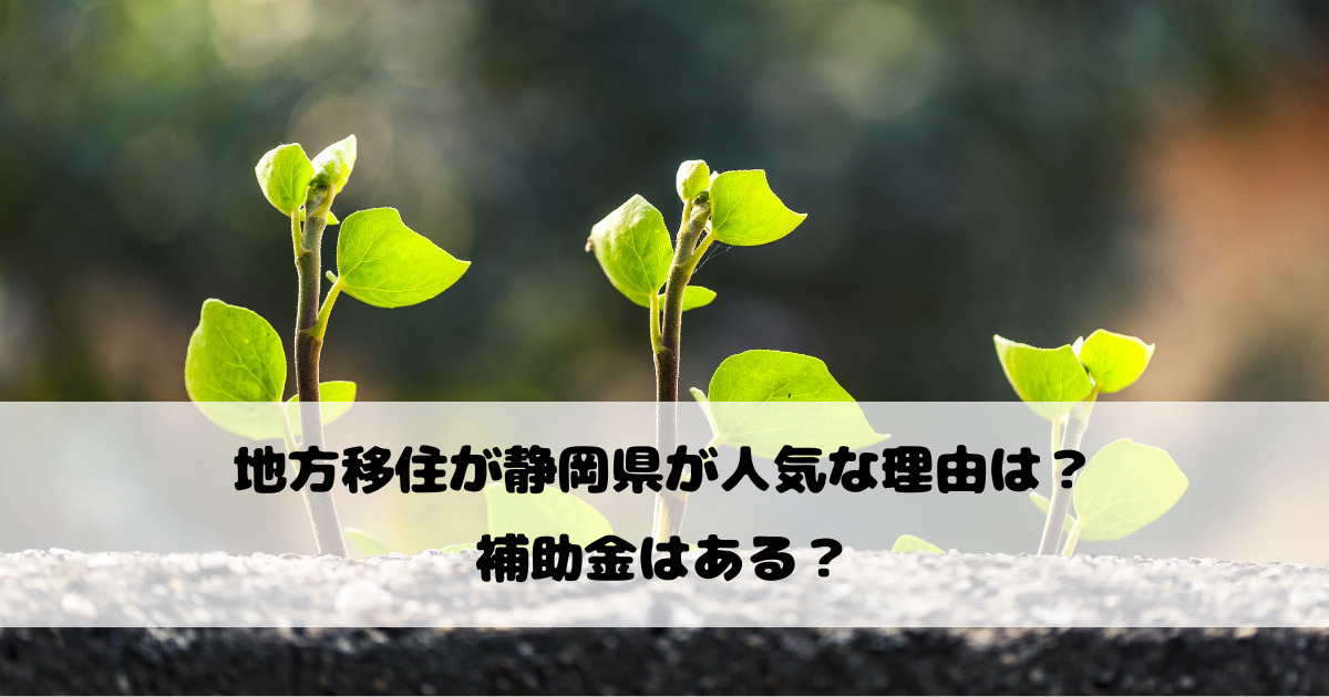 地方移住が静岡県が人気な理由は？補助金はある？