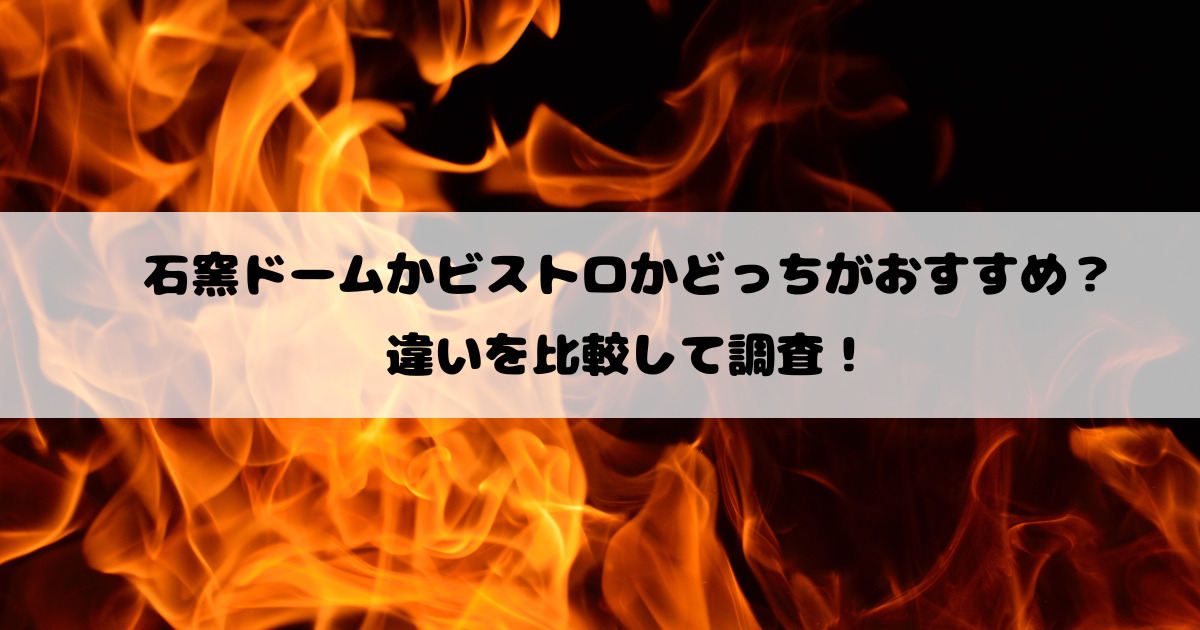 石窯ドームかビストロかどっちがおすすめ？違いを比較して調査！