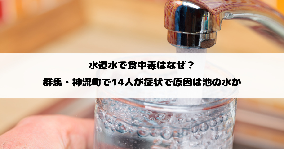 水道水で食中毒はなぜ？群馬・神流町で14人が症状で原因は池の水か