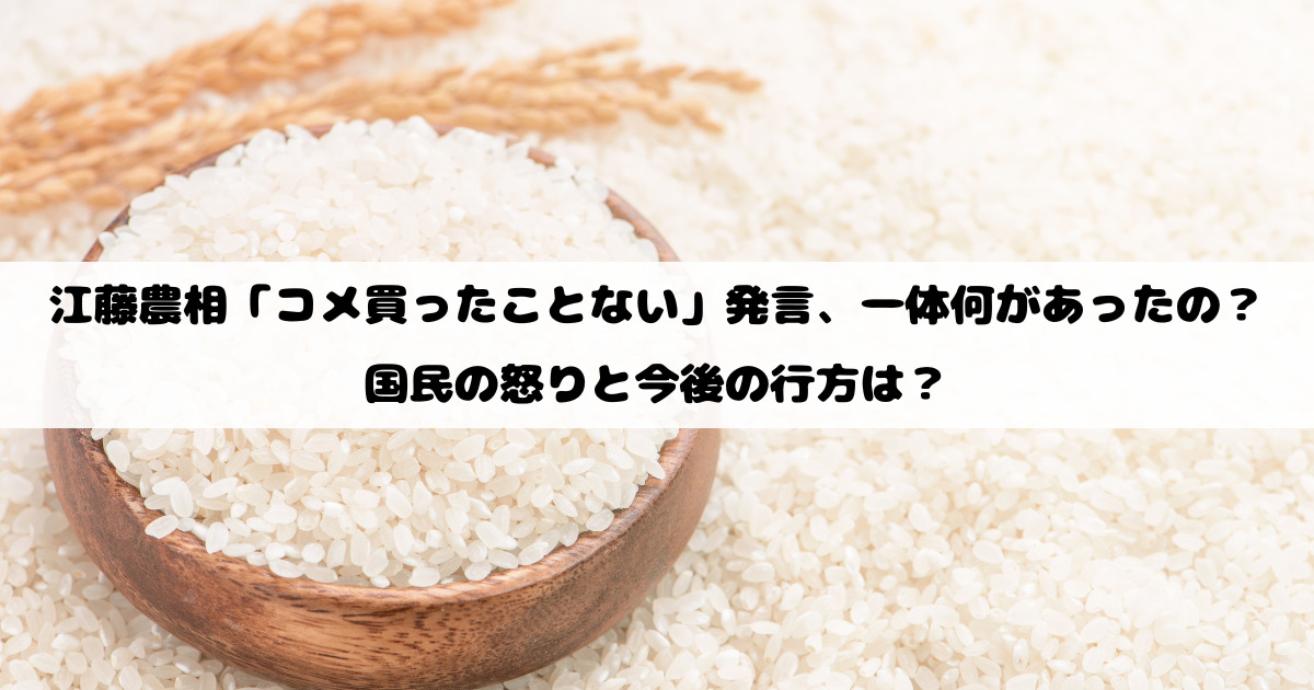 江藤農相「コメ買ったことない」発言、一体何があったの？国民の怒りと今後の行方は？