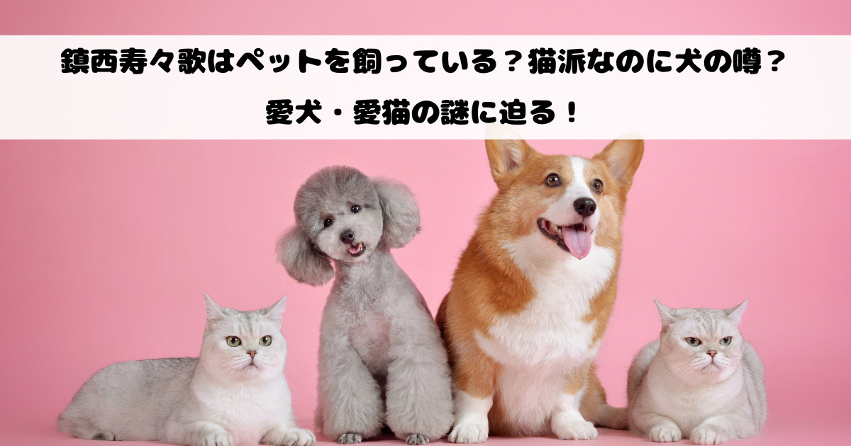 鎮西寿々歌はペットを飼っている？猫派なのに犬の噂？愛犬・愛猫の謎に迫る！